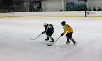 img_6863_ 